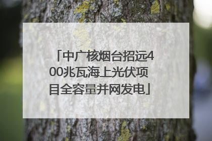 中广核烟台招远400兆瓦海上光伏项目全容量并网发电